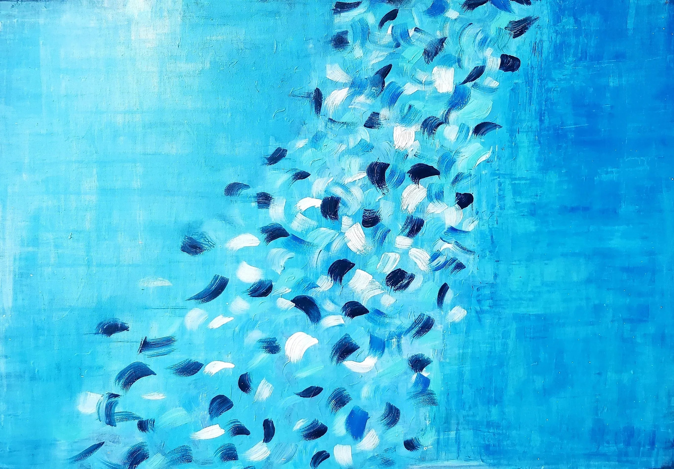 Reflections in light